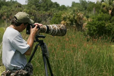 Wildlife Spotting and Photography