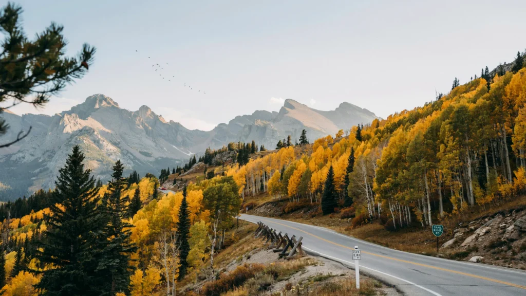 Trail Ridge Road Fall Colors